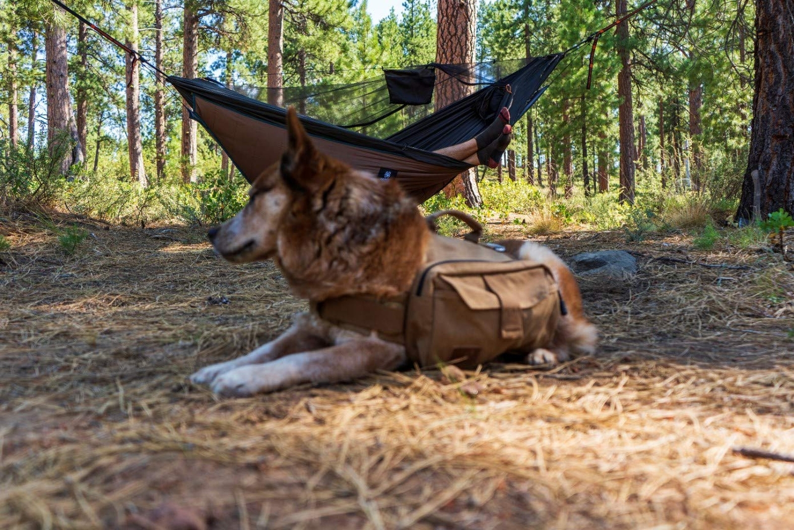 OneTigris Hideout Hammock Underquilt, Full Length Lightweight 4 Season Hammoc...