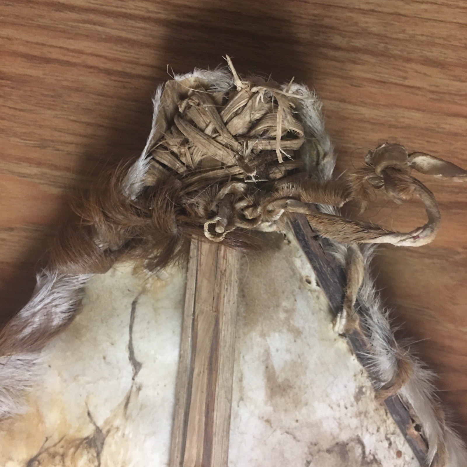 African Maasai Cowhide Shield And Knife Tribal Kenya Ethnic Painted Masai 30x16”