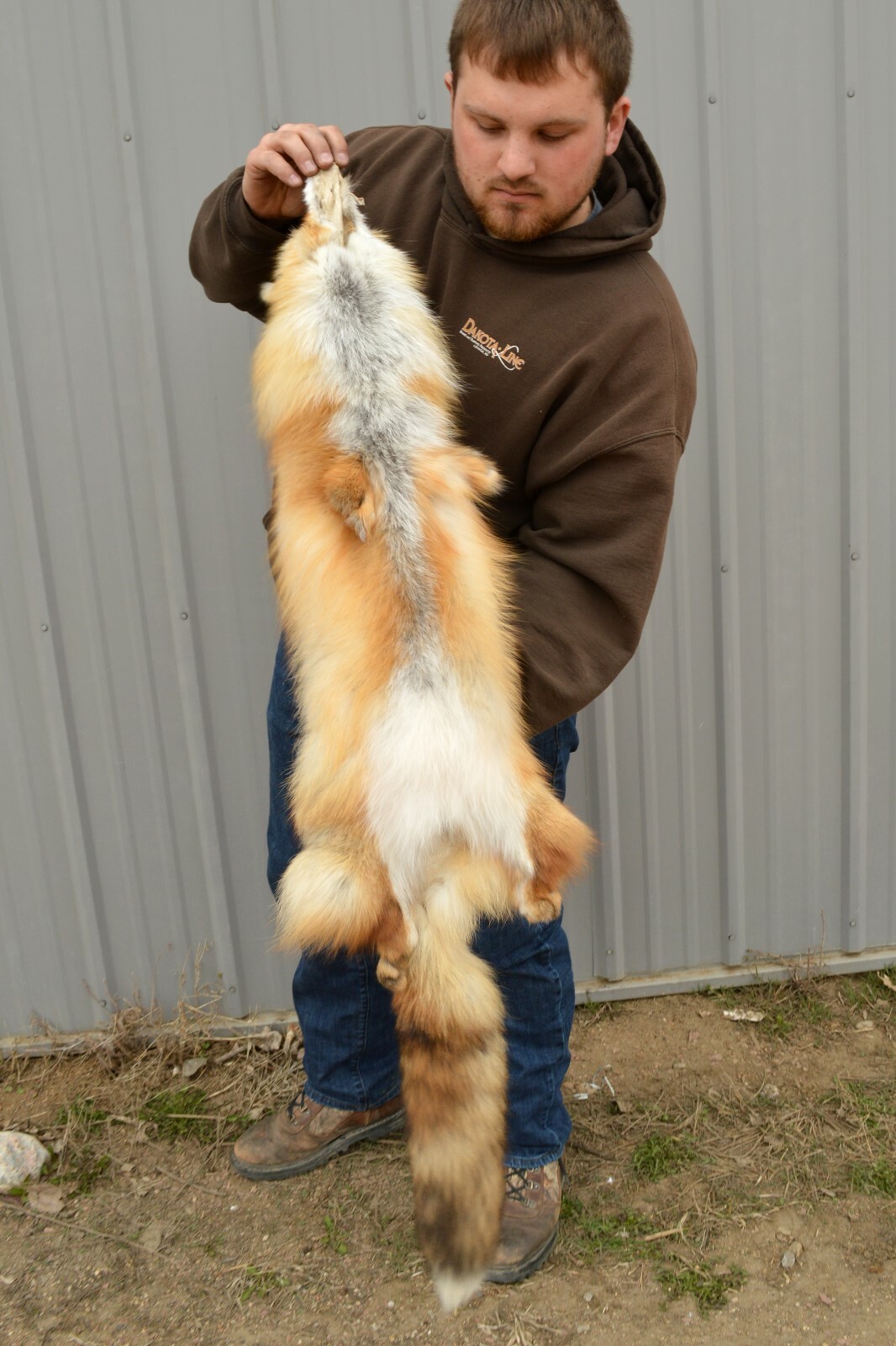 Tanned Red Fox Winter “Heavy Fur” Western XL Pelt, Hide, Medium Grade (rfwhmg)