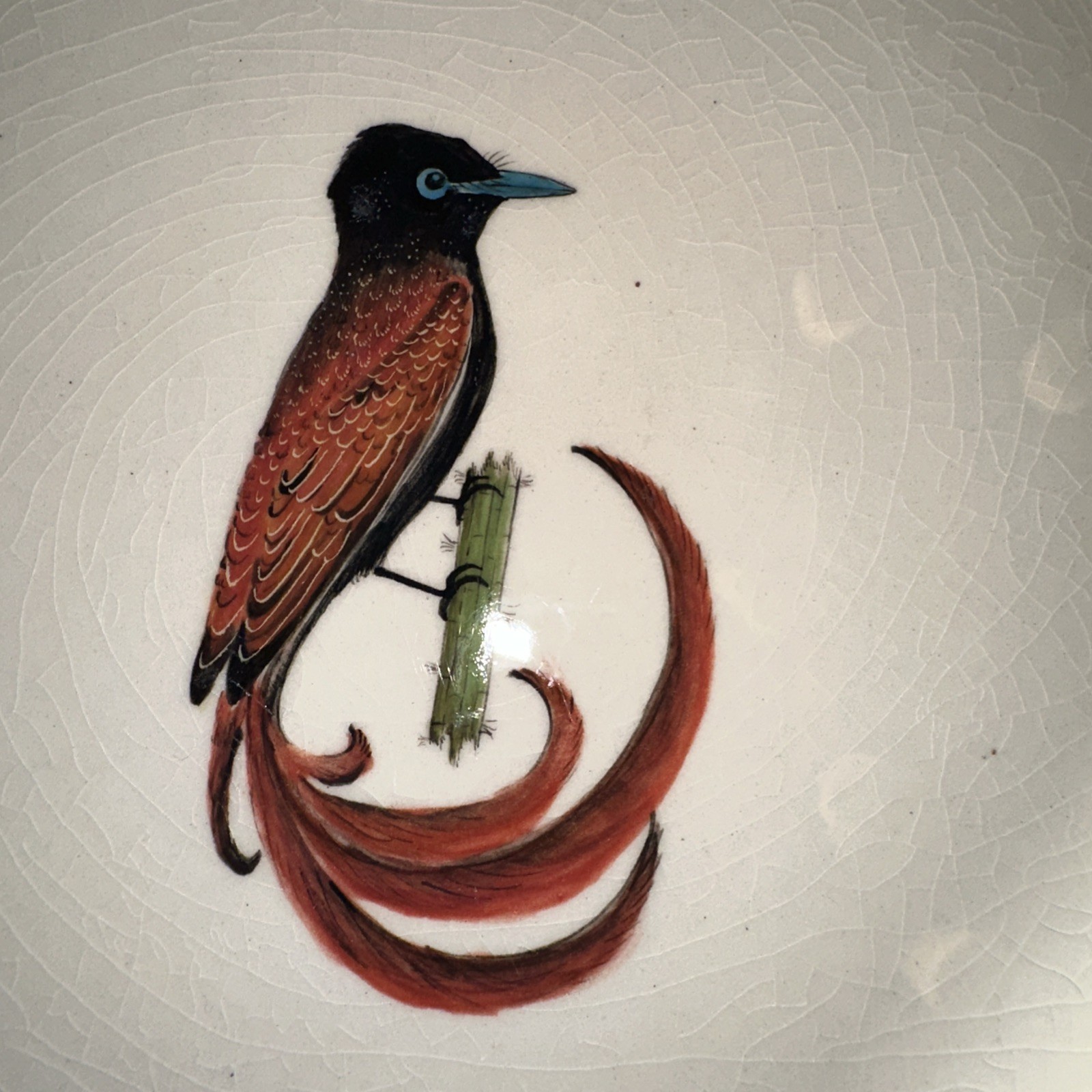 Penzo Zimbabwe Hand Painted 10.75 In Plate Paradise Fly Catcher Signed 2008