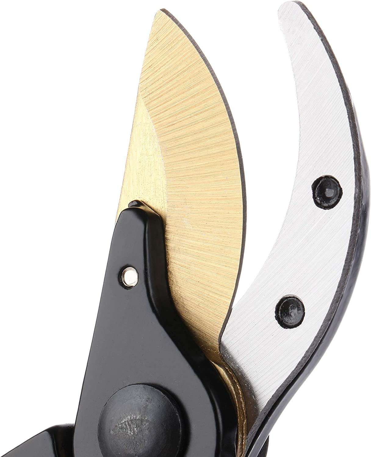 - Pruning Shears Garden Shears 8 Professional Titanium Blade Garden