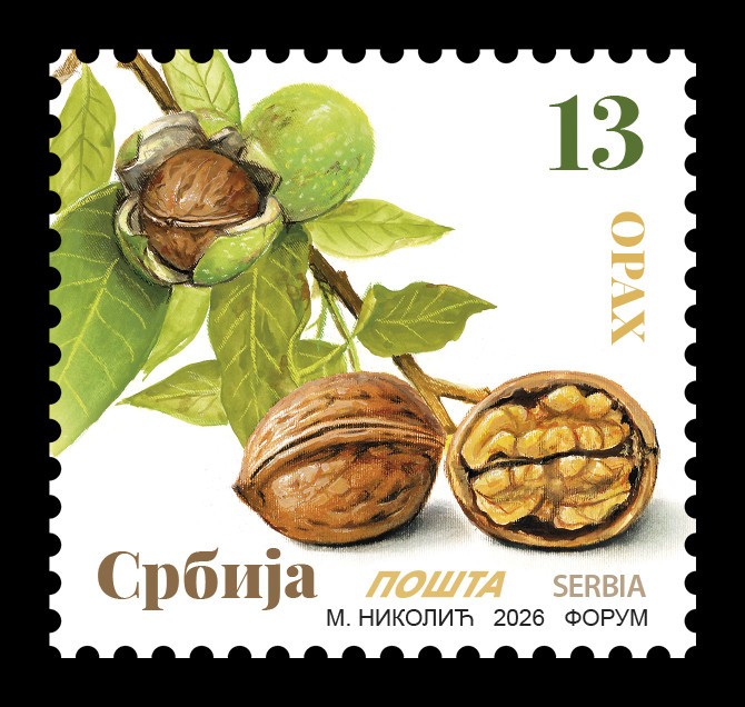 Serbia 2026, Walnut, fruit, flora, definitive stamps, 13d, MNH