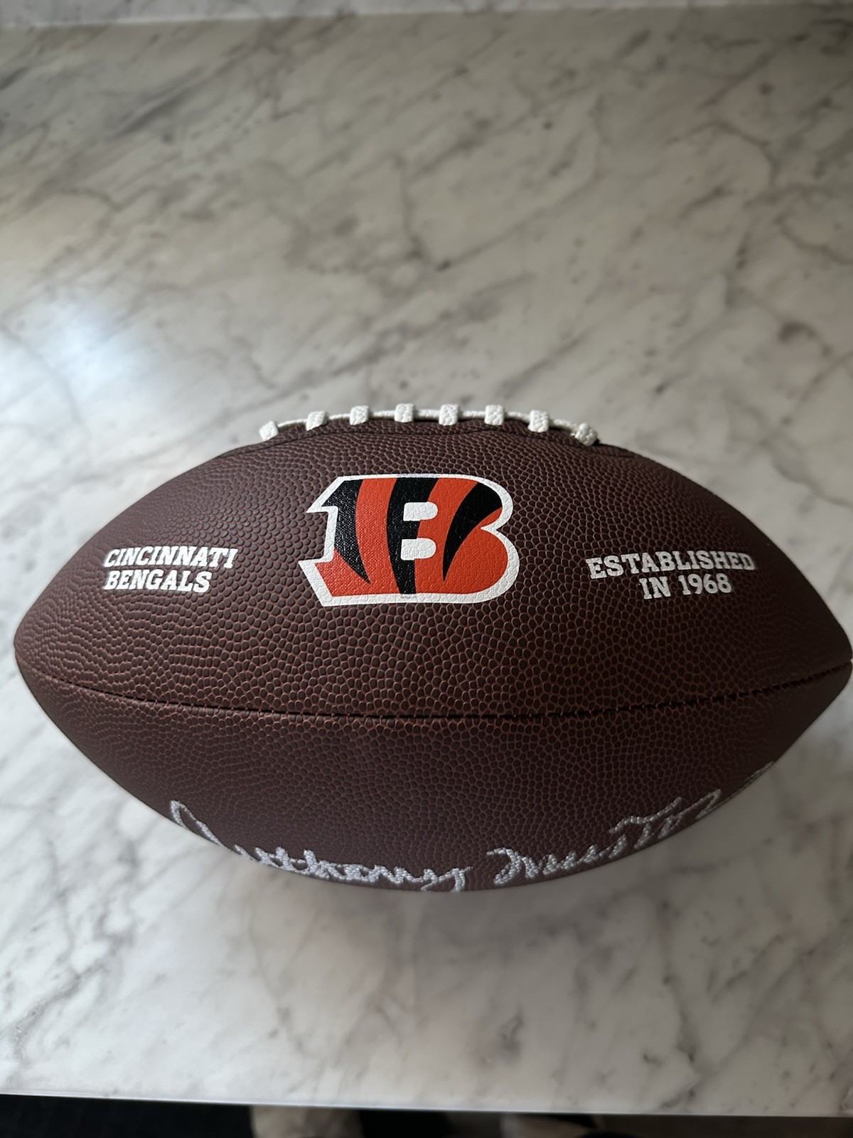 Anothony Munoz Signed Cincinnati Bengals Football Shwartz Sports COA