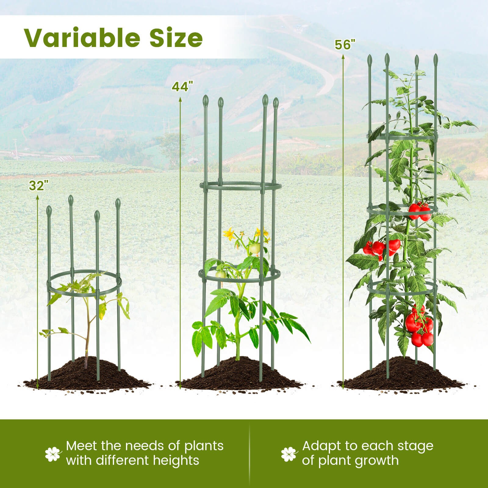 2-Pack Garden Trellis 56" Plant Support & Tomato Cages w/ Adjustable Height