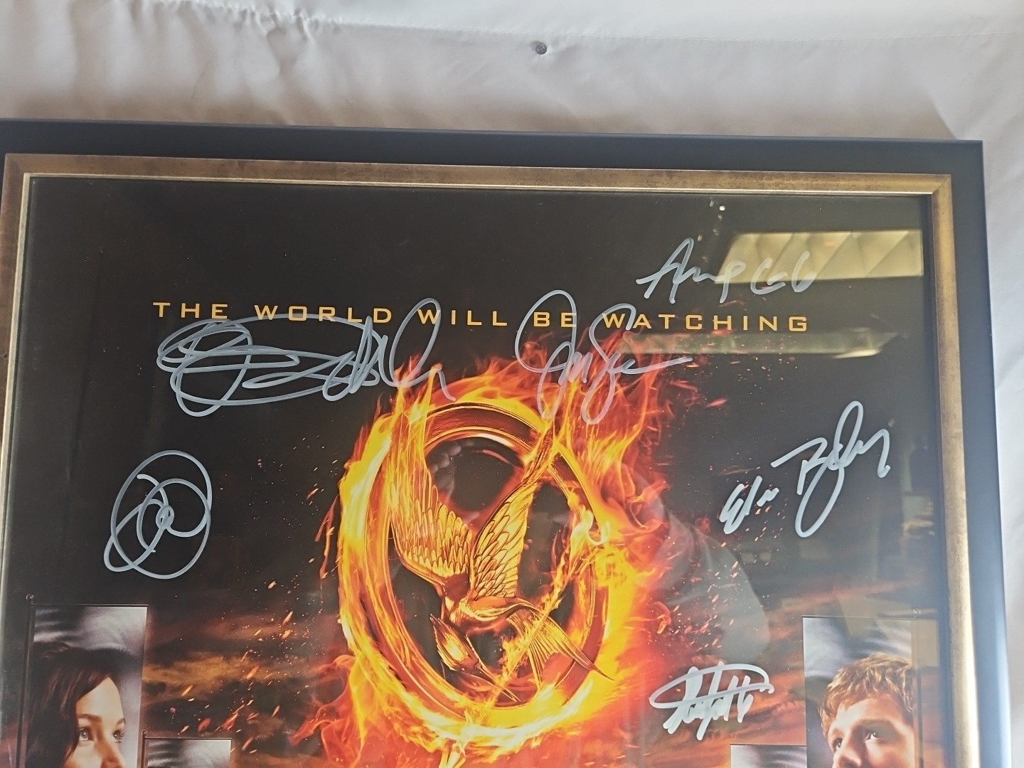 2012 NECA LIONSGATE THE HUNGER GAMES MOVIE ARENA POSTER 22x34 Signed By CAST!!