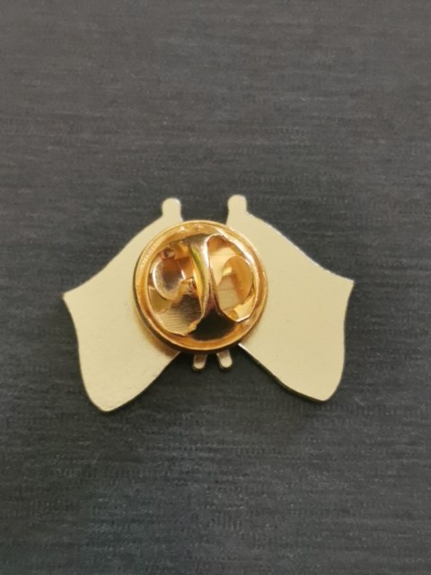 FRENCH FLAG FRIENDSHIP pin Badge Patch New