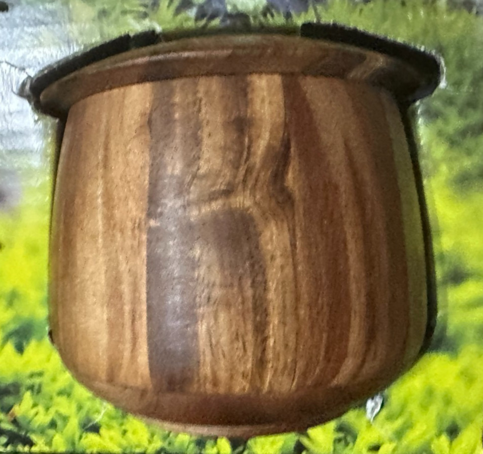 Ryze Mushroom Coffee Acacia Wood Storage Jar Lidded Container with Spoons Magnet