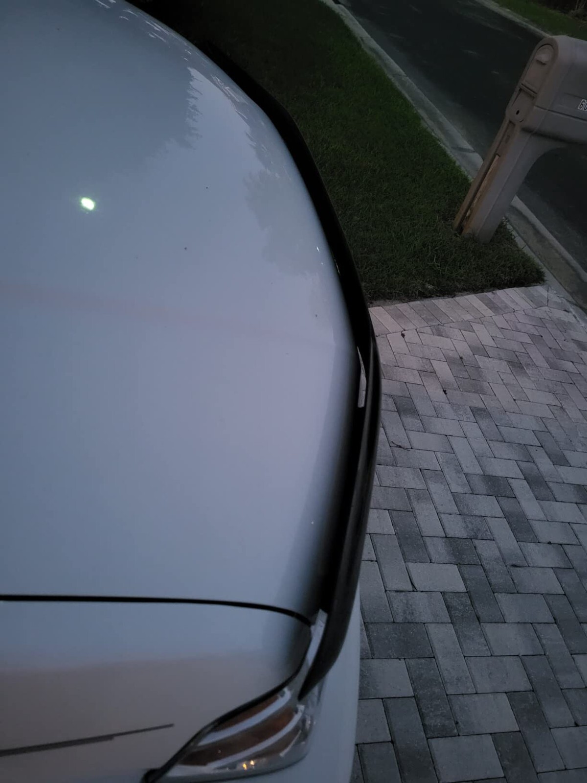 BugFlector II Hood Protector Bug Shield Deflector for 2005-2021 Nissan Frontier