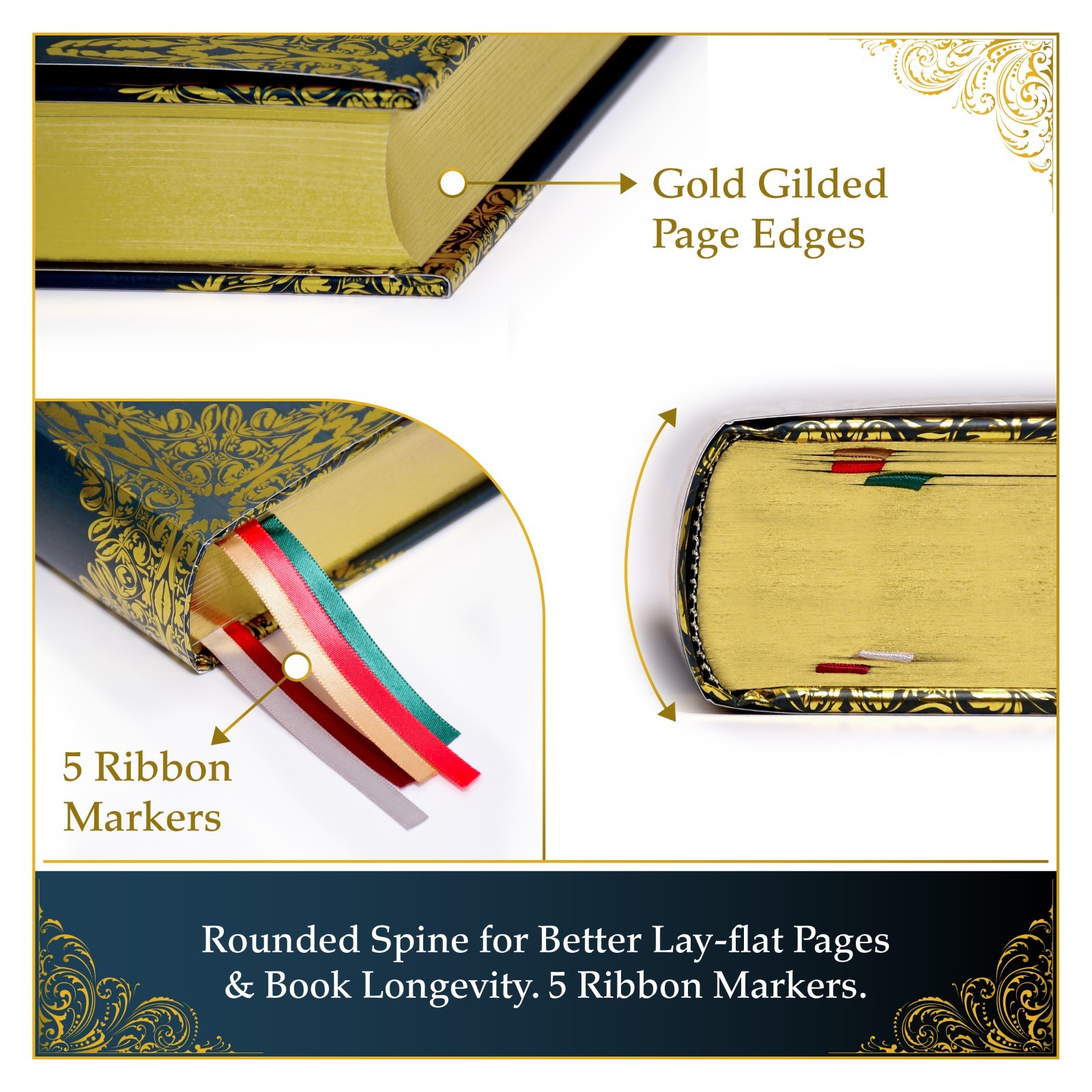 The Most Complete Ethiopian Bible by Asher Wilson, Deluxe Red Letter Edition