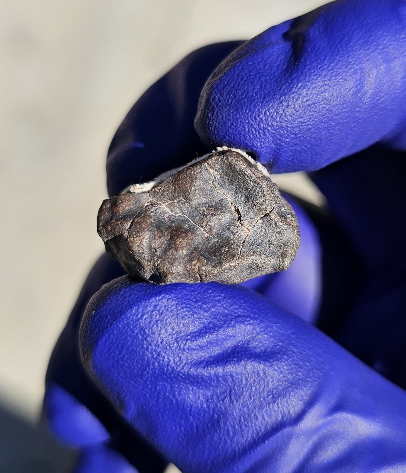 Atacama Desert, Chile | 7.871 Grams | Fusion Crusted Individual