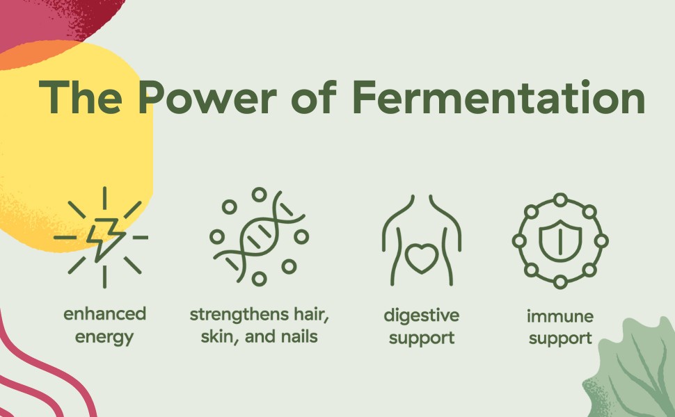 Brightcore Nutrition Kimchi One Kimchi Powder Capsules Probiotics Enzymes