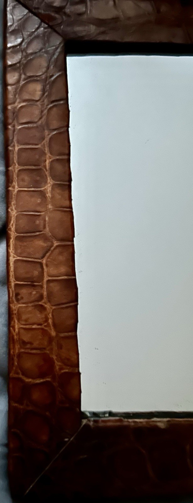 ANTIQUE CROCODILE Skin Picture Frame with Mirror BEAUTIFUL 8.5”x 10.75” GENUINE