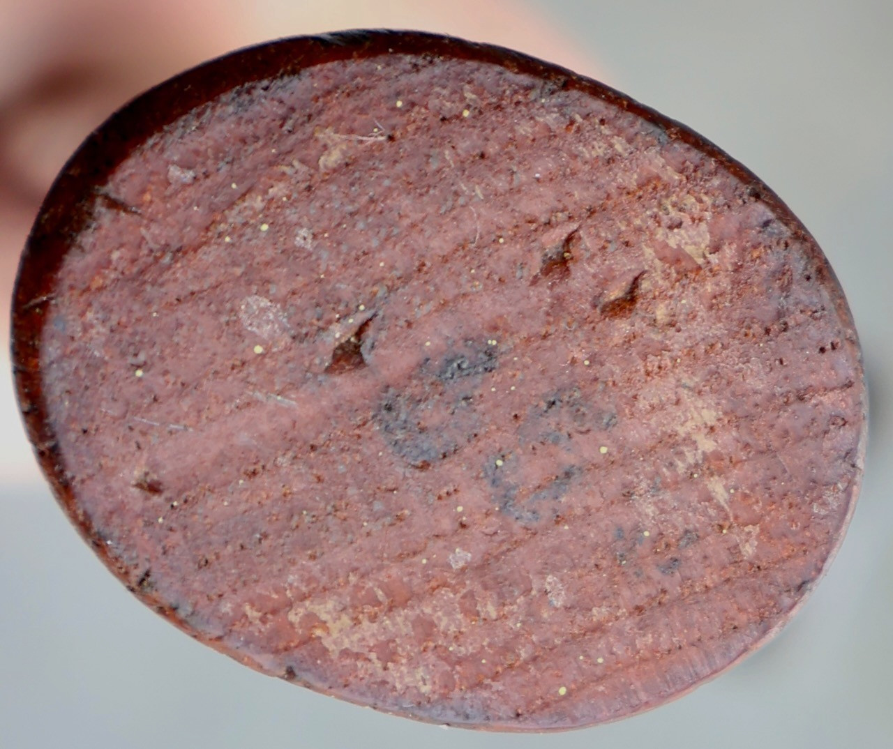 Craftsman Professional Double Round Face Auto Body Repair Hammer / MT Tools