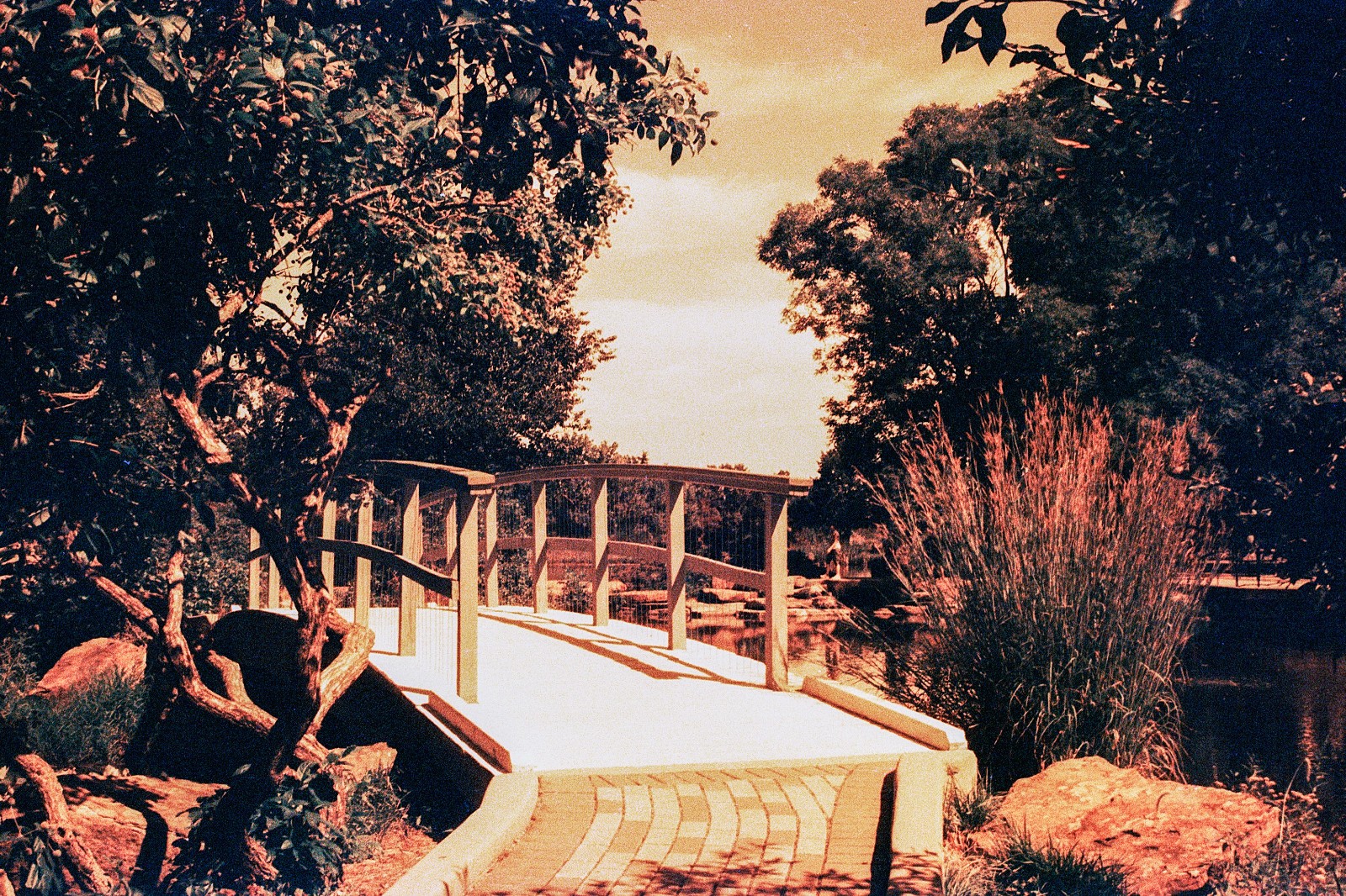 THE MARS PROJECT - BRAND NEW 35mm Color Negative Film 80 ISO - Experimental Fun