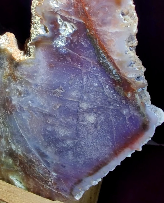 Epic 6" Slab of Rare Burro Creek Agate, Intricate Details & Great Purple Tones