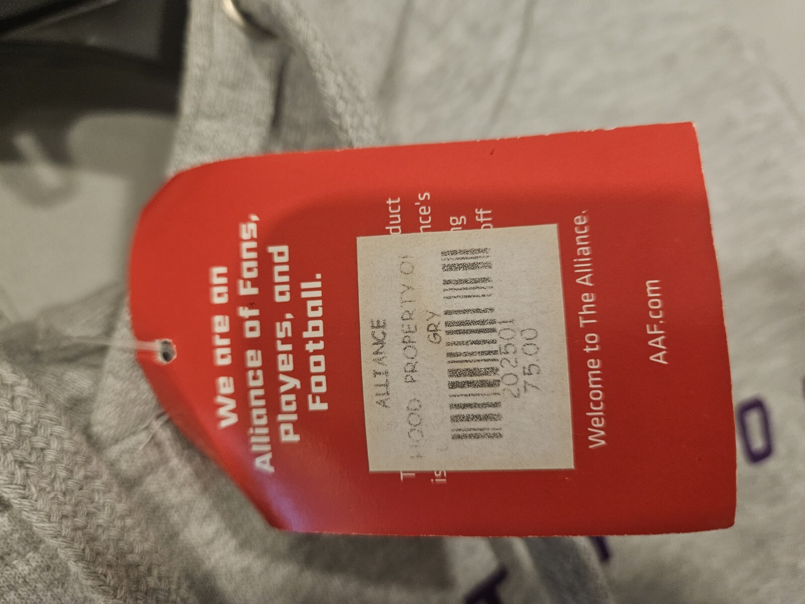 GIII Sports Atlanta Legends AAF Gray Hooded Sweatshirt Sz Large Pouch Pocket NWT