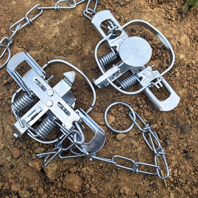 2-Packs 4-3/10 Inch Coil Trap Mouse Raccoon Mink Nutria Muskrat Groundhog Rat