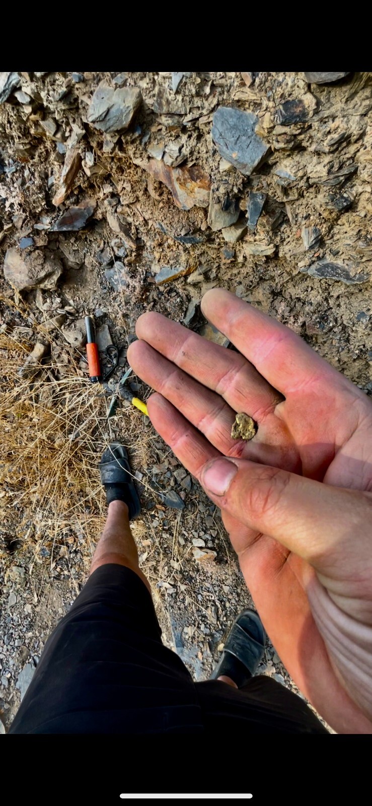 Yuba River Gold Unsearched Paydirt Plus Added Gold Straight from the River rich