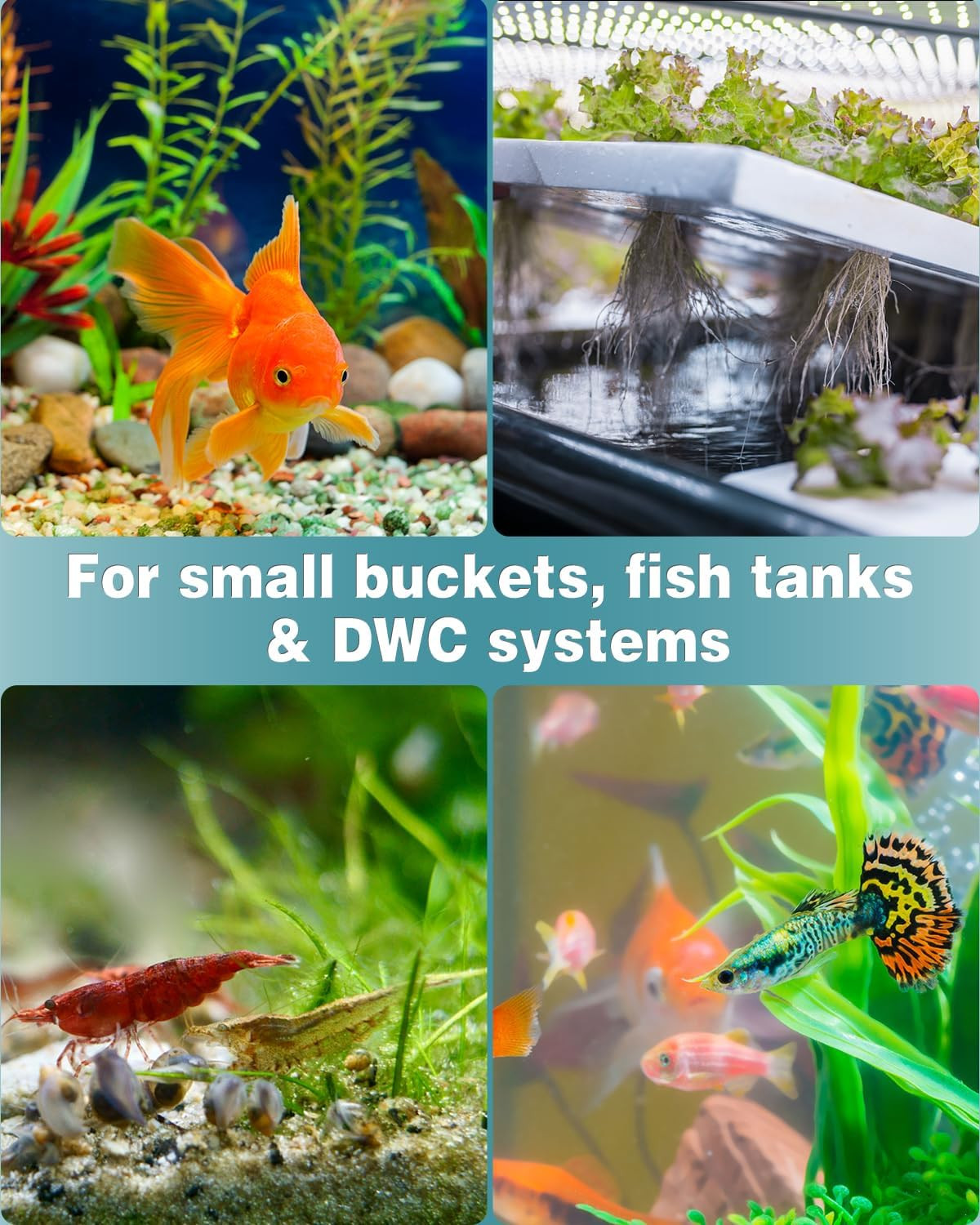 Pawfly Aquarium Air Stone 1 Inch, Fish Tank Air Stone Aerator Bubble Diffuser fo