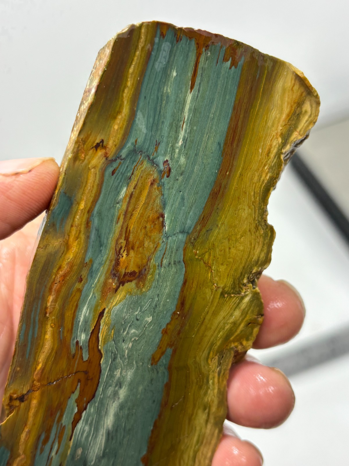 Gary Green Caldera Freedom Jasper Slab Cabbing Lapidary Combo Ship Avail