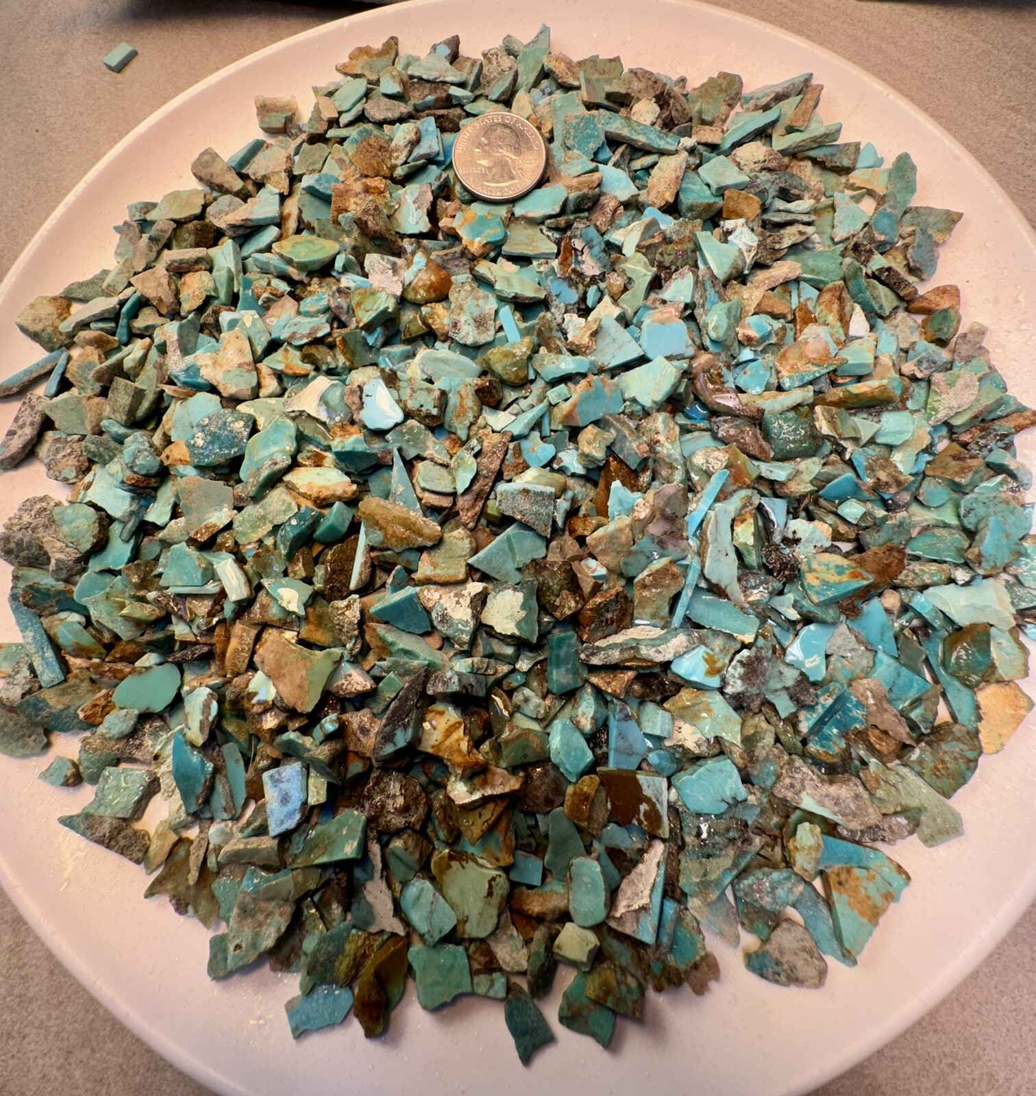 1 LB of Turquoise! Bell Trading Post Small Corinthian Slabs!🔥Chiplets!
