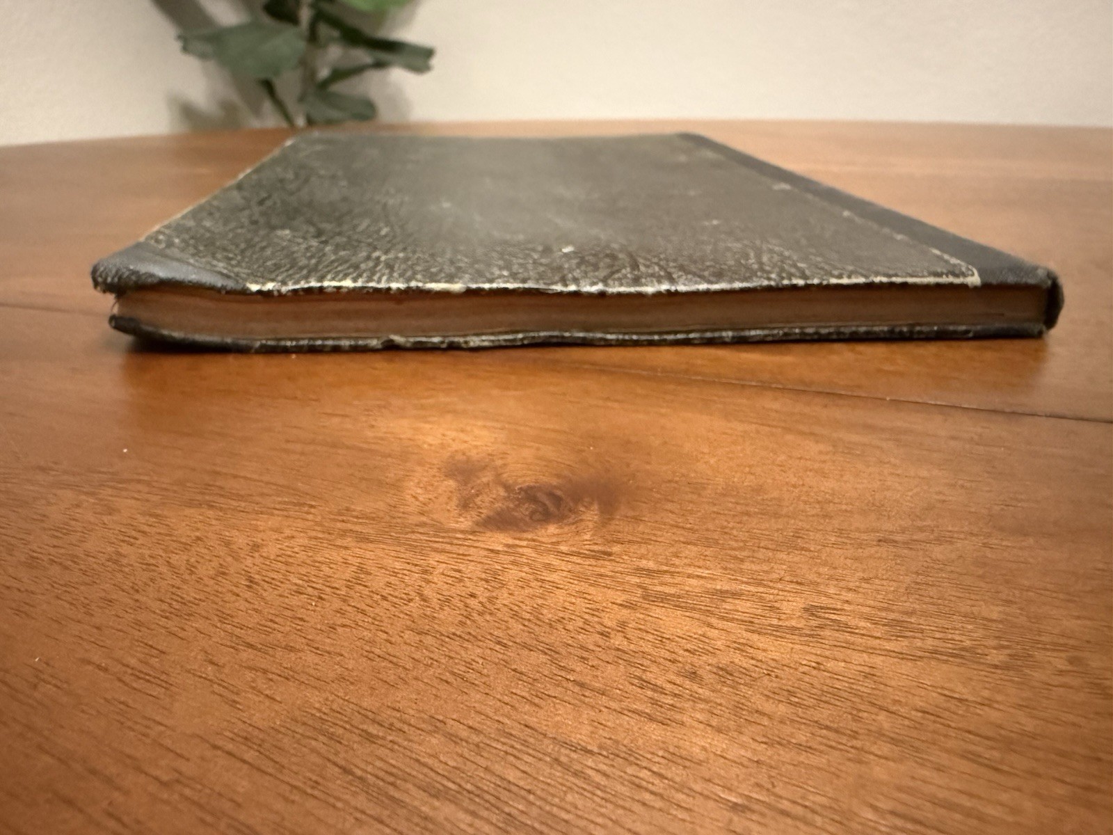 Original WW2 German Book - Heimkehrer, Hans Richter (1941)