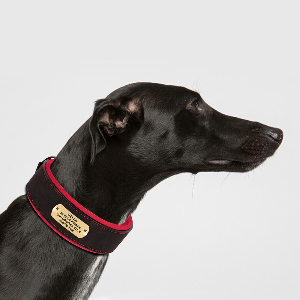 Wide Leather Dog Collar Personalized Nameplate Soft Padded for Large Dogs M-XL