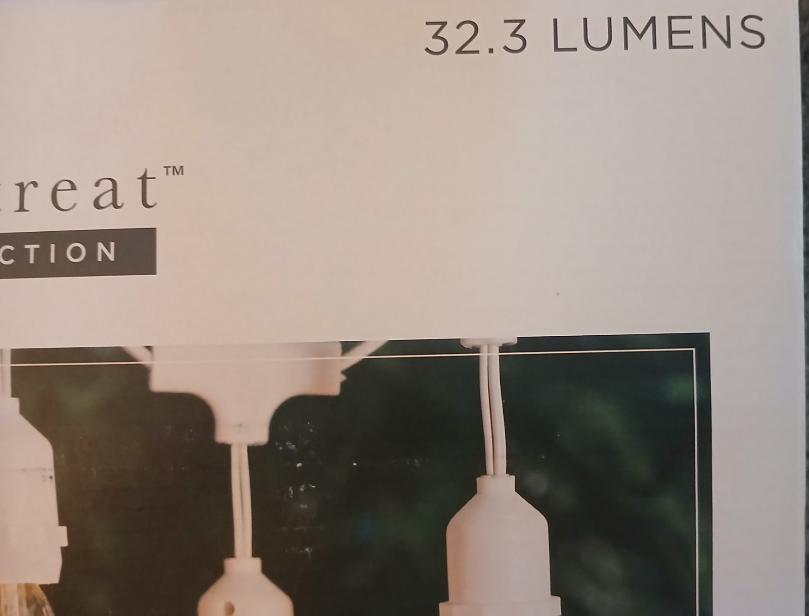 Edison Glass Bulb String Lights 25 Ct Plug-In Indoor Outdoor Home & Retreat