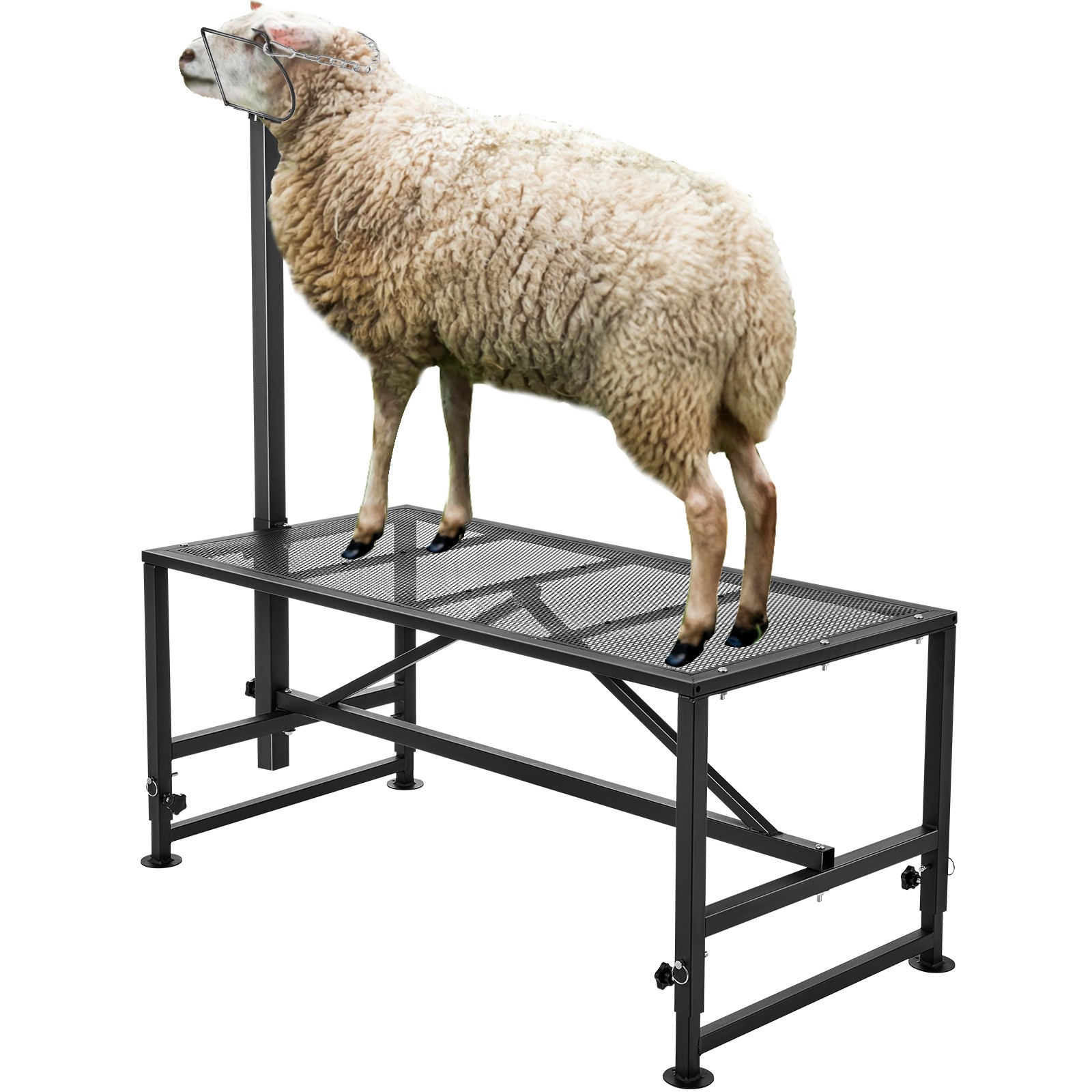 Livestock Stand Goat Trimming Stand 21"-33" Height 47x23 in Tabletop Black