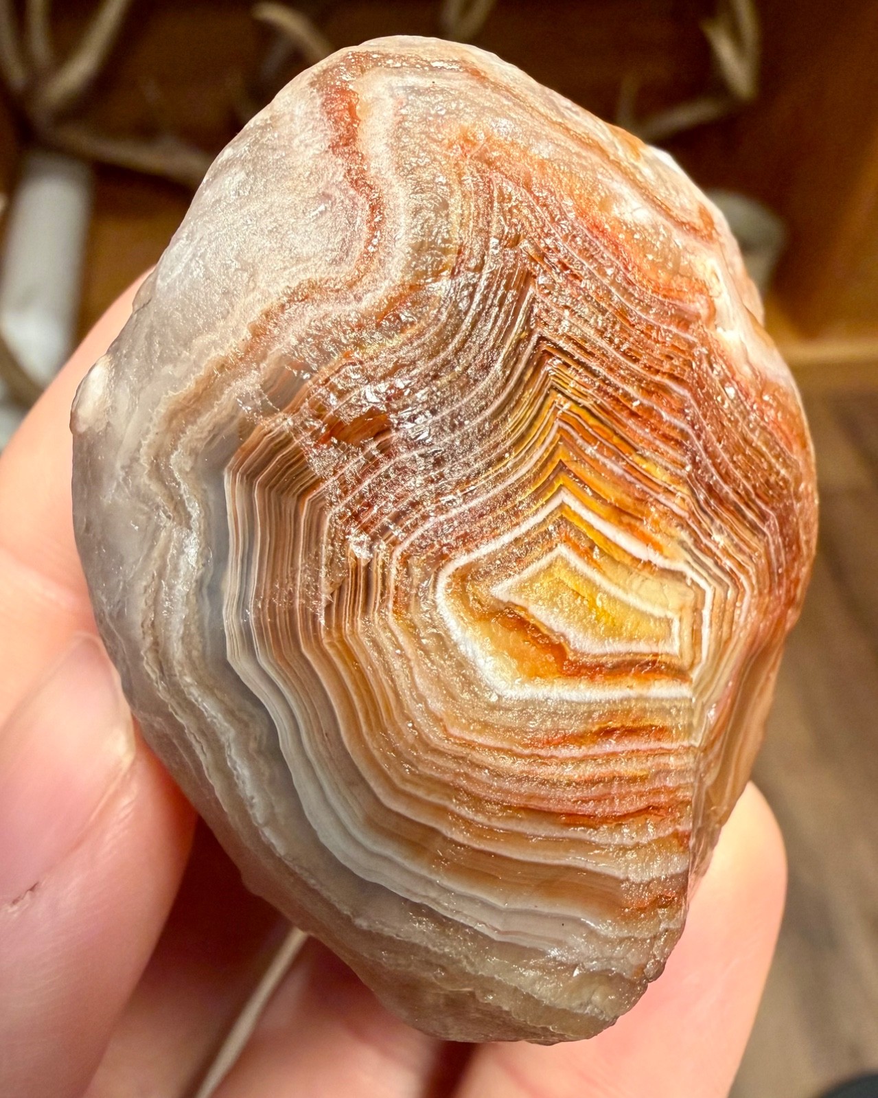 4.55oz LAKE SUPERIOR AGATE 2 GREAT FIRE & ICE COLORED BANDED FACES NEAT