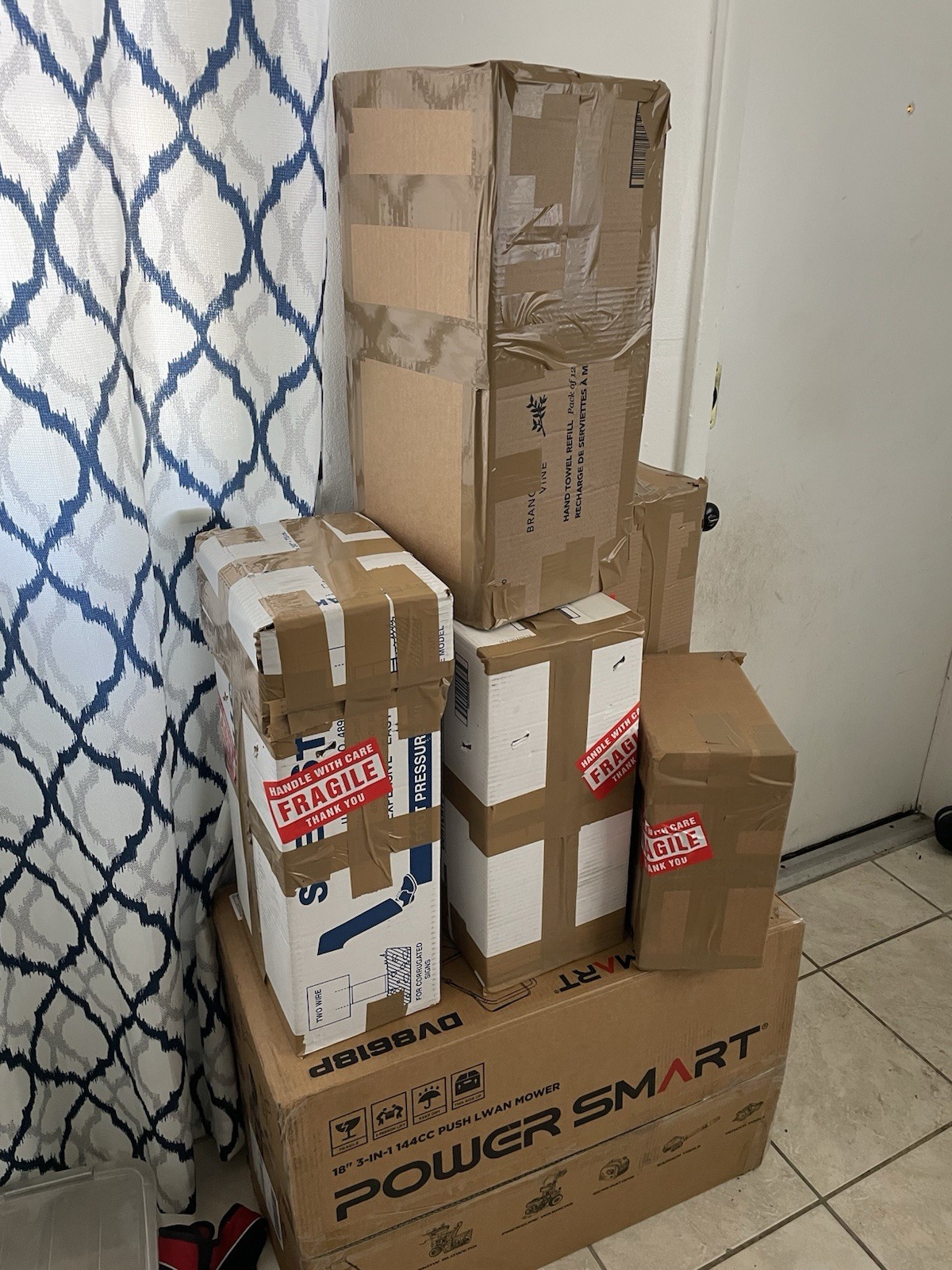 Bonsai Style Pre-bonsai Fuchsia Bougainvillea Tree 6 years