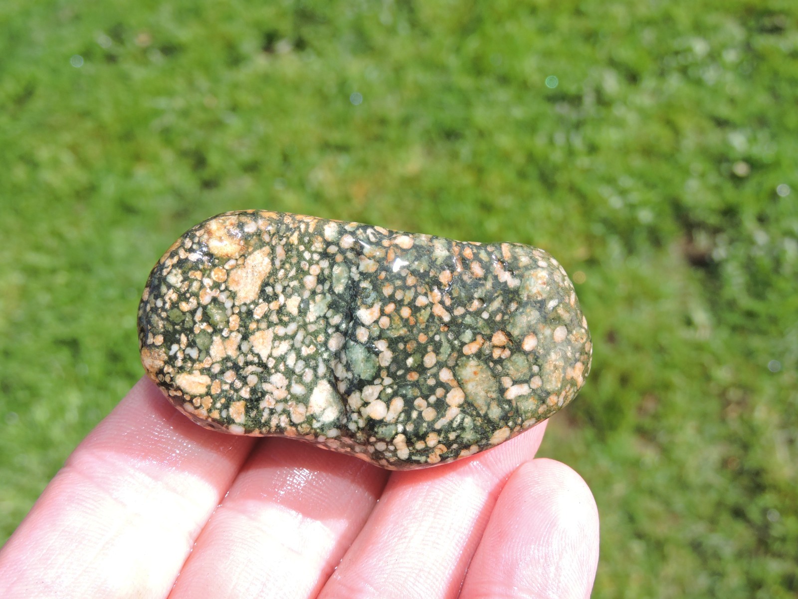 Lot of 🌈 Tumbler Size RAINBOW MIXED STONES from PNW (11.5 lbs) WEST COAST ROCKS