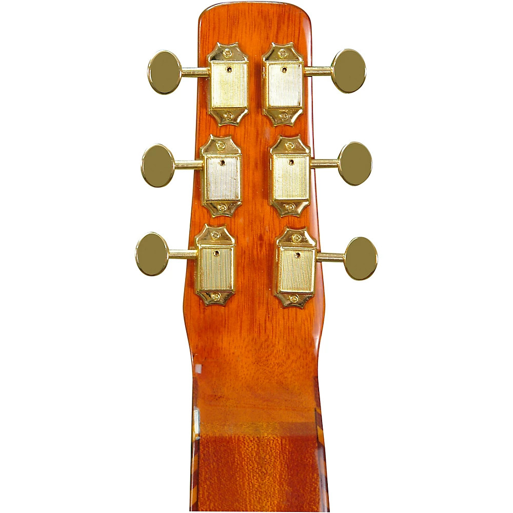 Gold Tone SM-Weissenborn Hawaiian-Style Left-Handed Slide Guitar Solid Top