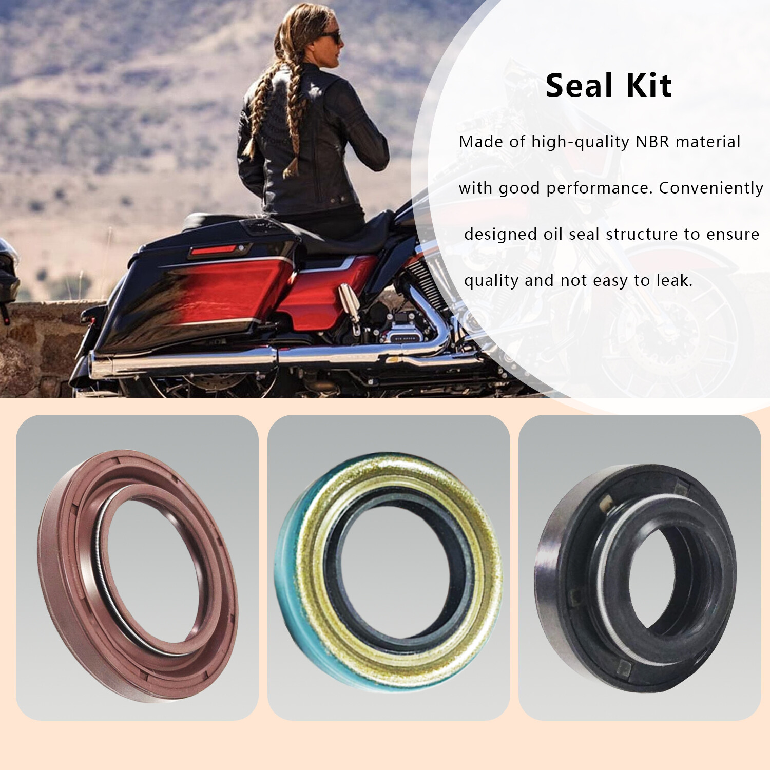 Primary Gasket Kit for Harley-Davidson Electra Glide Ultra Classic FLHT 1985-93