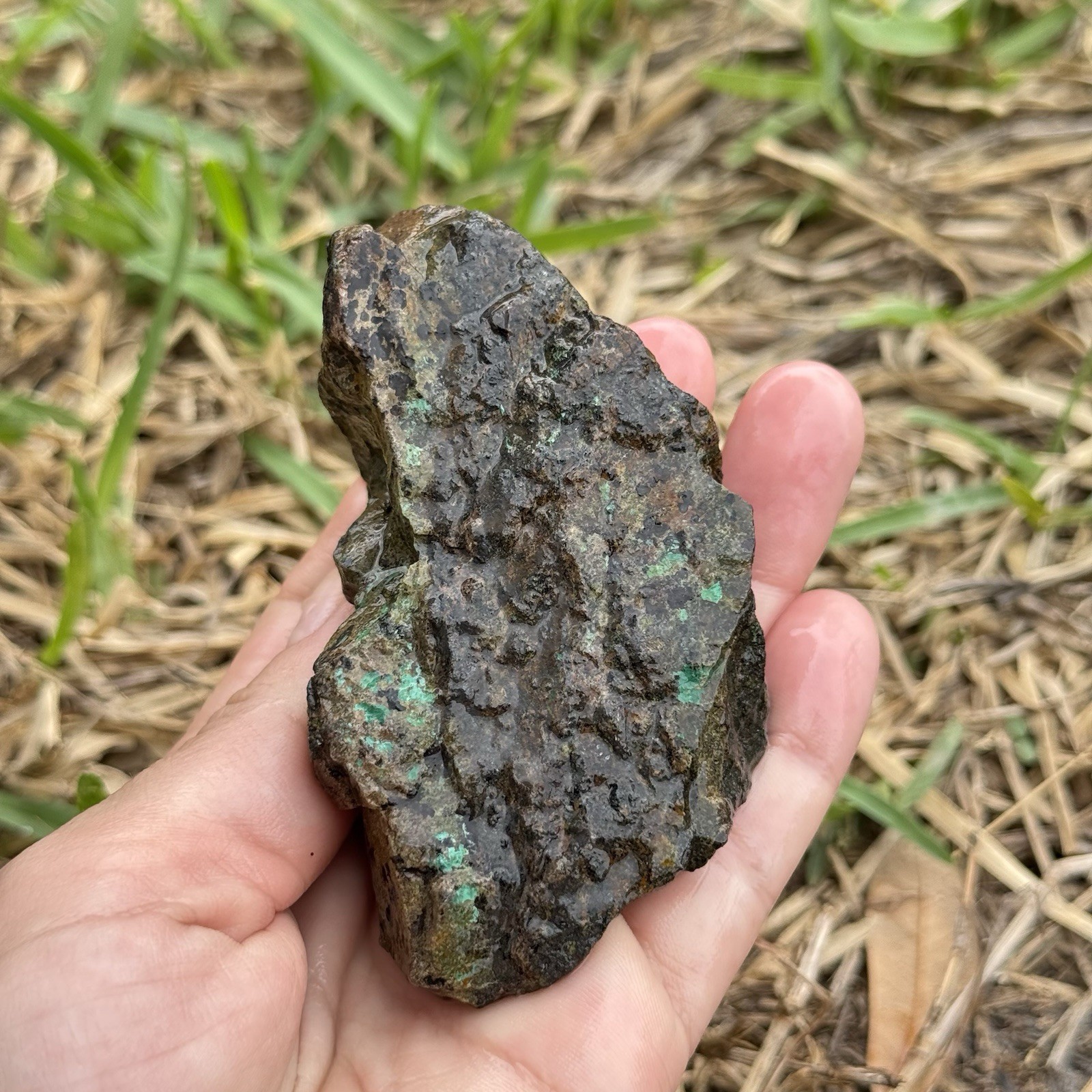 9oz Chalcopyrite w/ Green Chrysocolla Copper Ore Rough Rock Specimen Texas