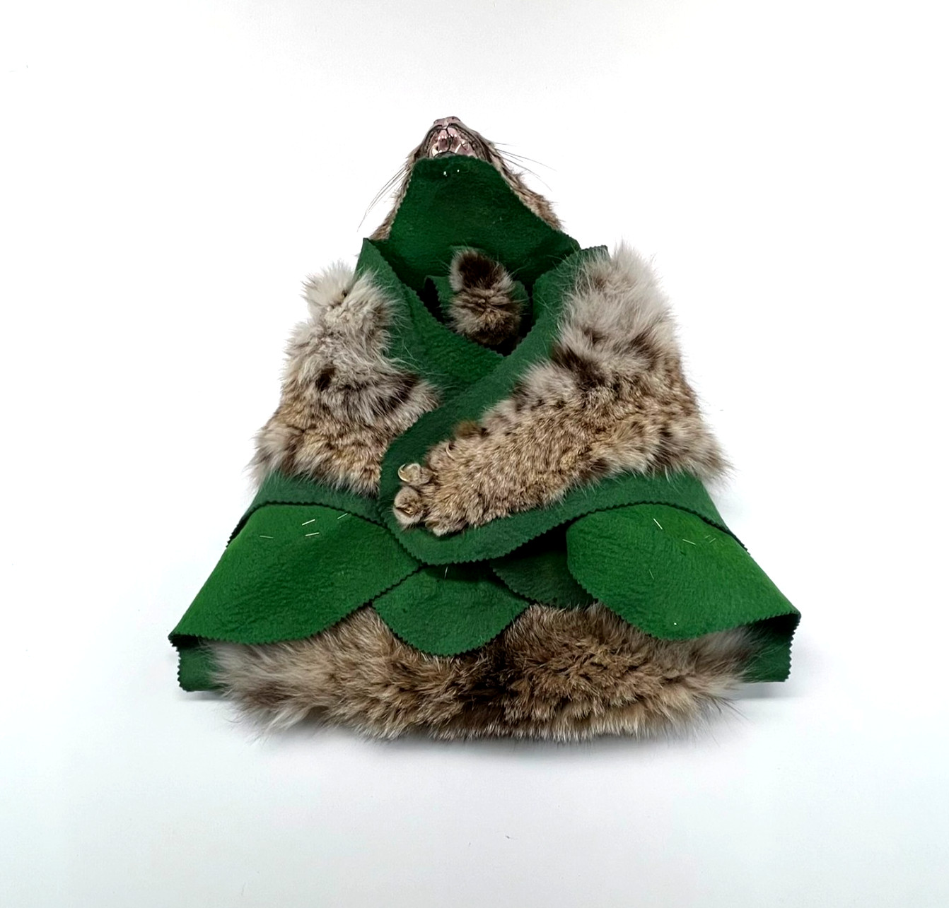 Vtg. Bobcat Taxidermy Rug Mount Full Body Green Felt Border Rustic Cabin Decor