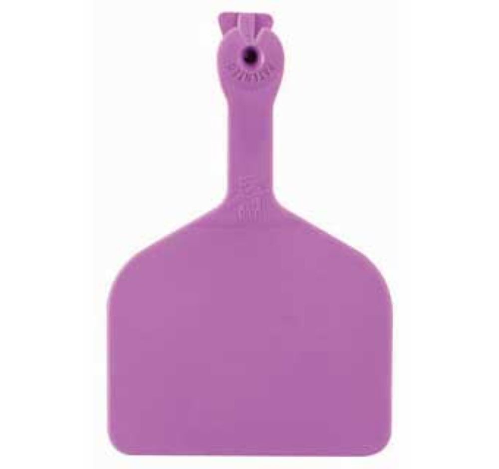 Z Feedlot Ear Tags for Cattle ID PURPLE 50ct