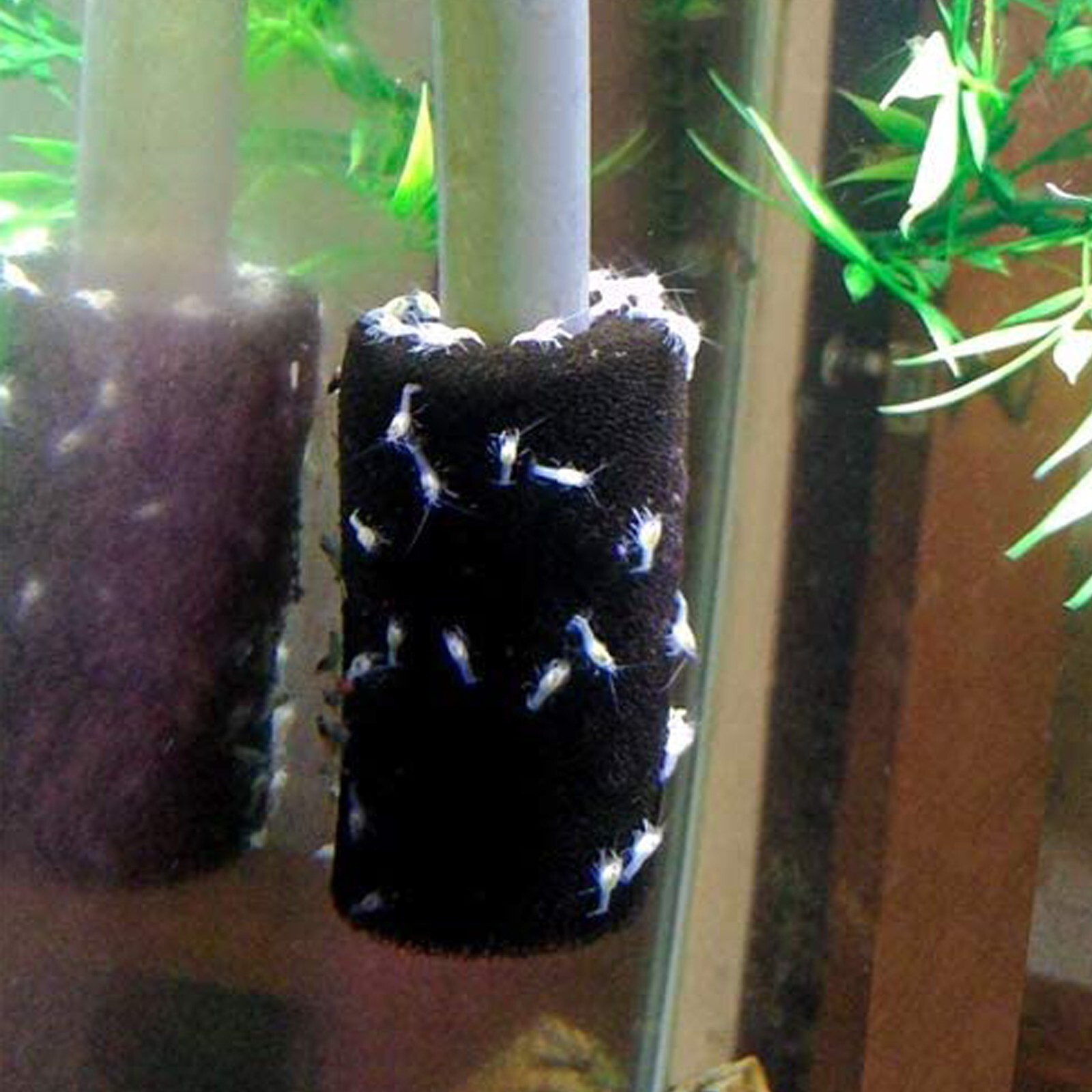 4 X Pre-Filter Sponge for Fluval Edge Aquarium
