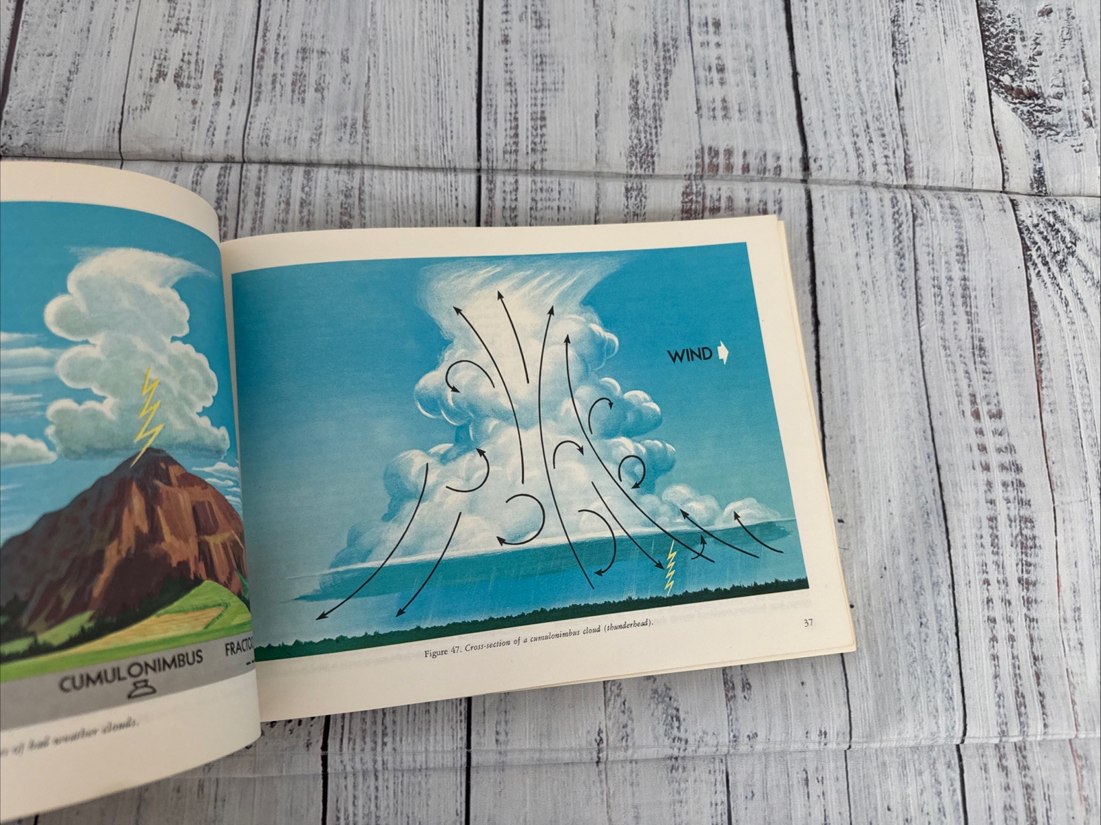 Vintage 1965 Private Pilots Handbook of Aeronautical Knowledge Book AC 61-23