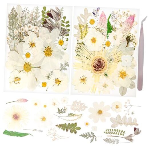50Pcs Dried Pressed Flowers Real Pressed Flowers Natural Dry Leaves Bulk White