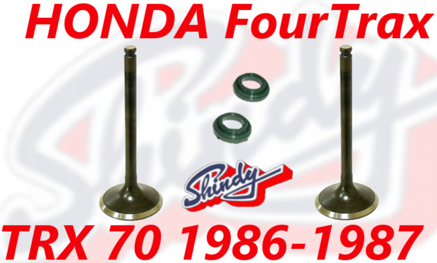 NEW HONDA TRX 70 1986-1987 SHINDY INTAKE & EXHAUST VALVES & VALVE GUIDE SEALS