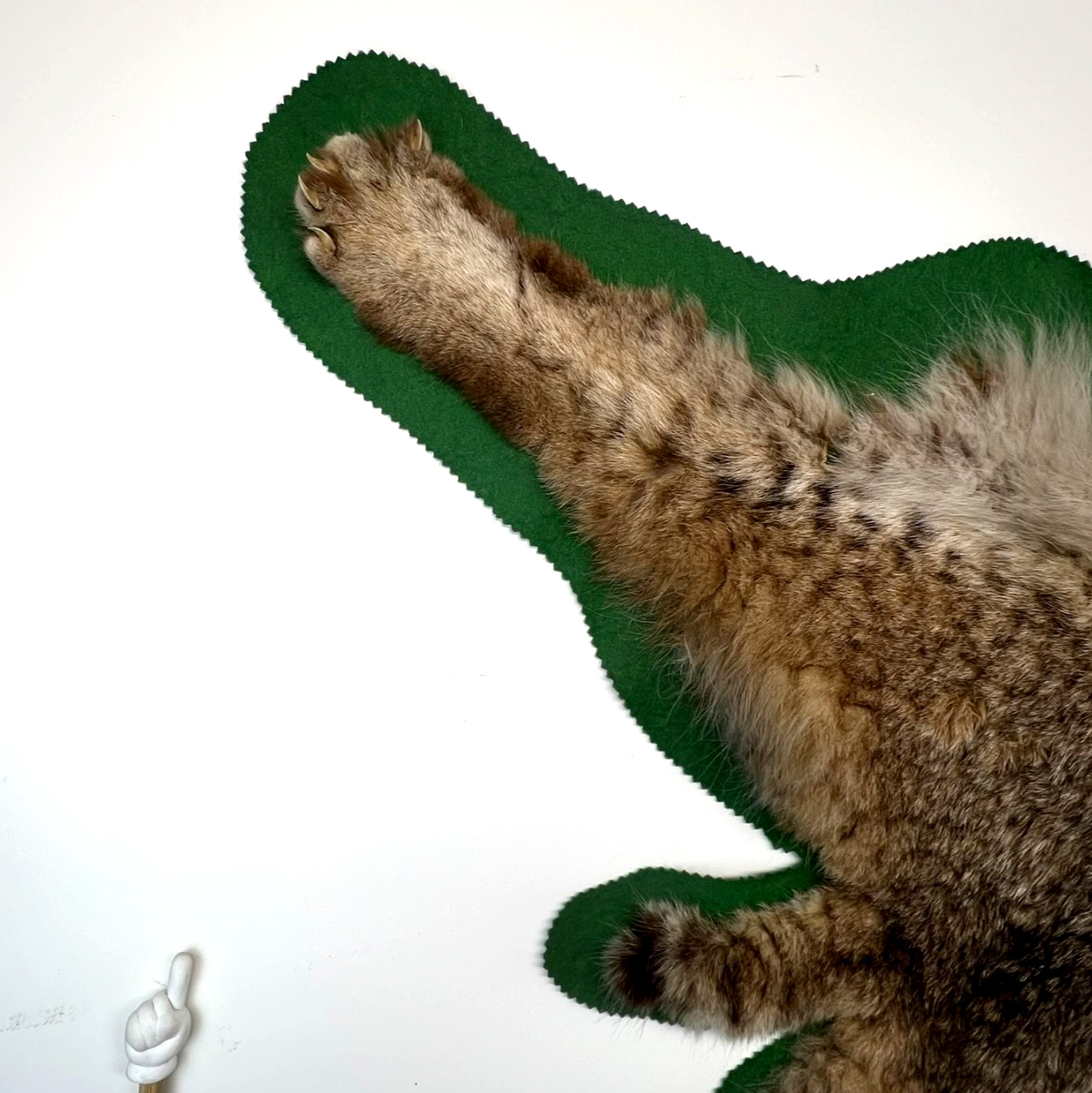 Vtg. Bobcat Taxidermy Rug Mount Full Body Green Felt Border Rustic Cabin Decor