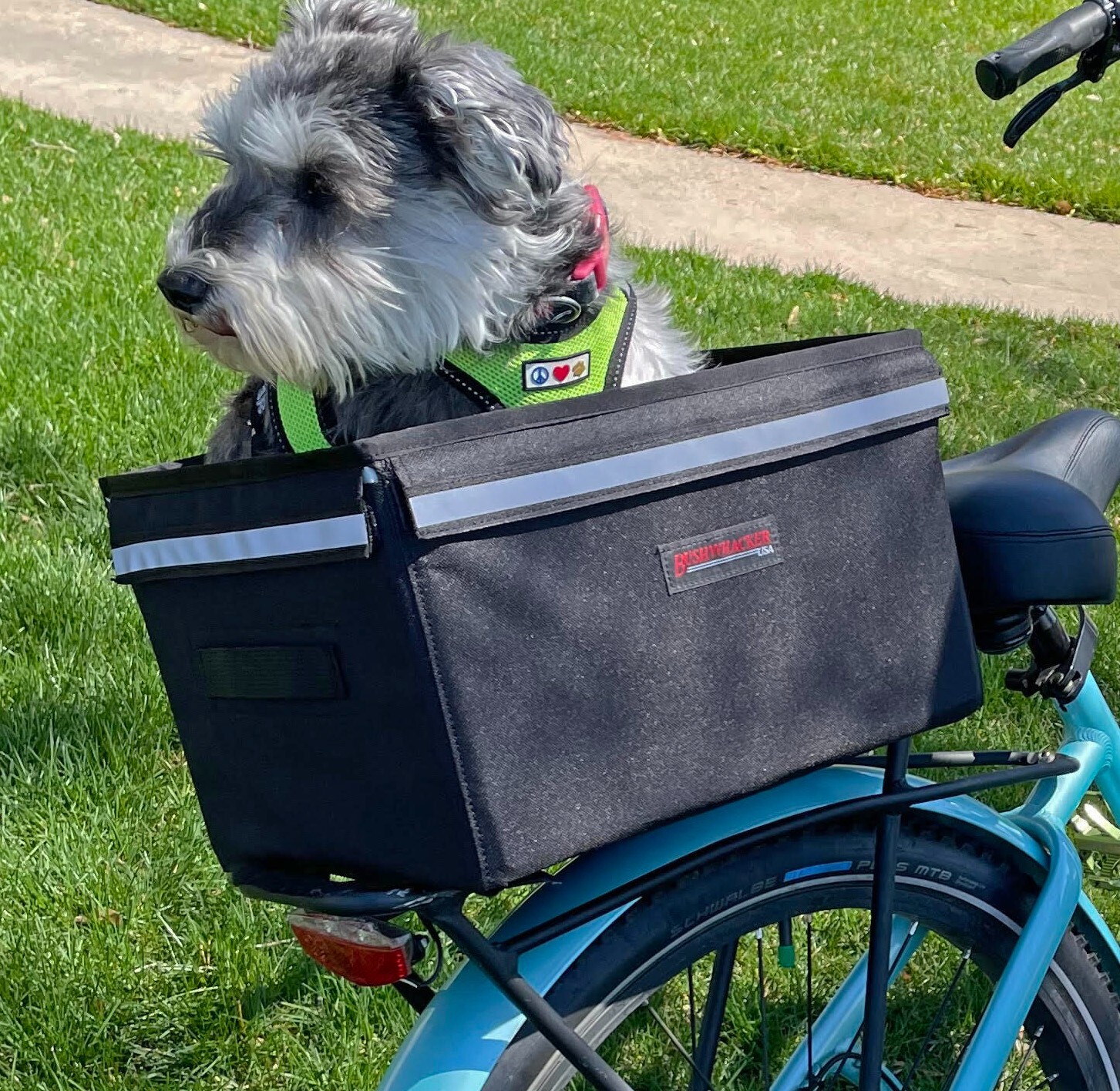 Small Dog Carrier Bicycle Rack Bike Grocery Basket Crate Rear Cycling Pet Bed