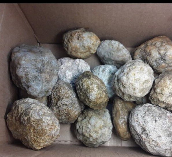 5 lbs Premium Kentucky Uncut Geodes Agates Nodules Lapidary Quartz Crystals Sale