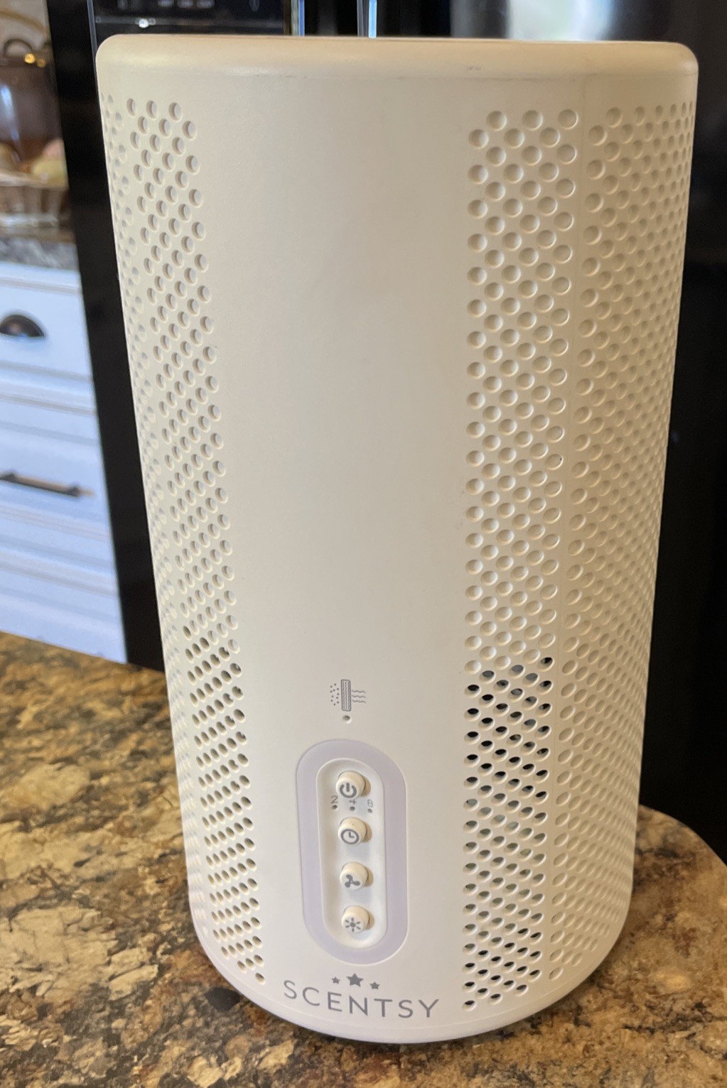 Scentsy Air Purifier Includes Only One Air Filter And Plug No Other Accessories