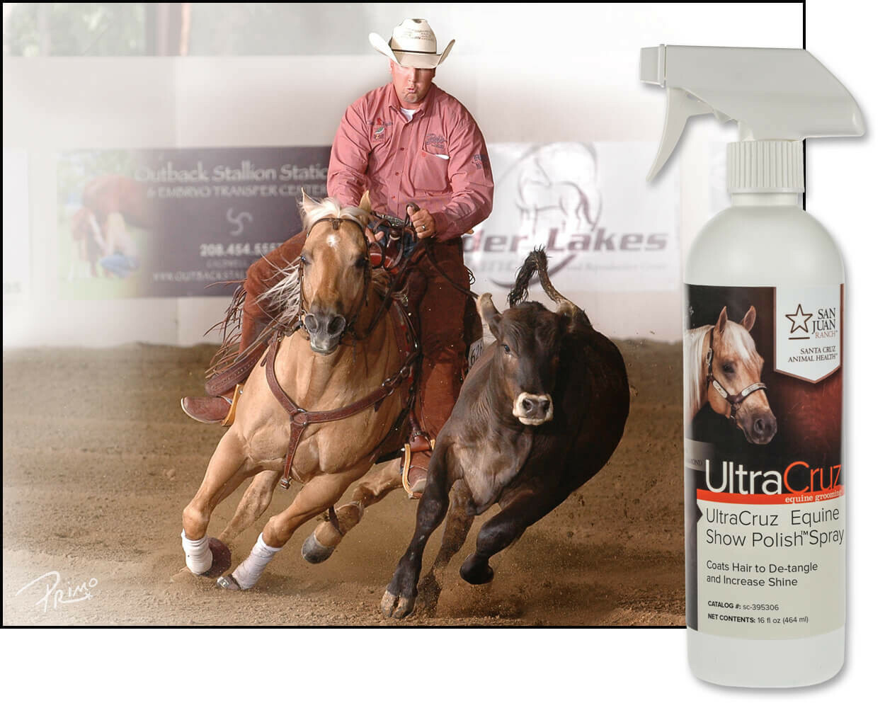 UltraCruz Equine Show Polish Spray for Horses, 16 oz