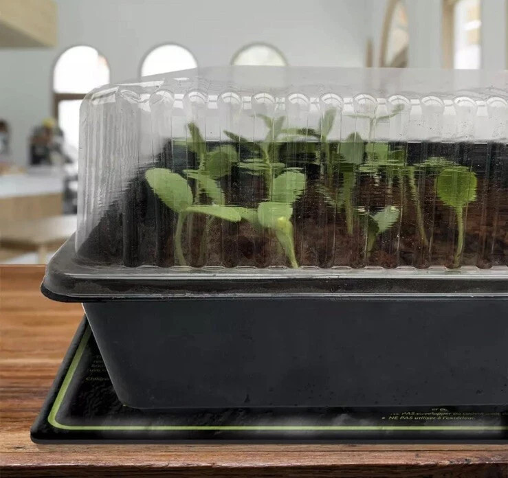 10"x20" Seed Starting Heat Mat Seed Cloning Heating Pad Germination Station NEW