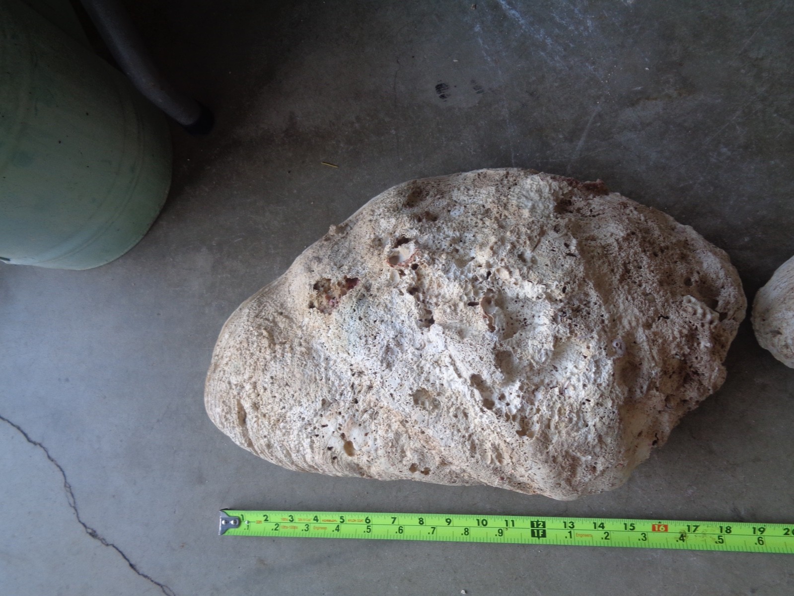 Tridacna Gigas Clam Shell Set Beautiful Matching Pair Giant Old Nautical Shells