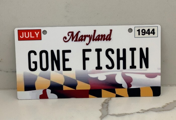 Custom Personalized Mini State License Plate. Pick your State. 3"x6" size