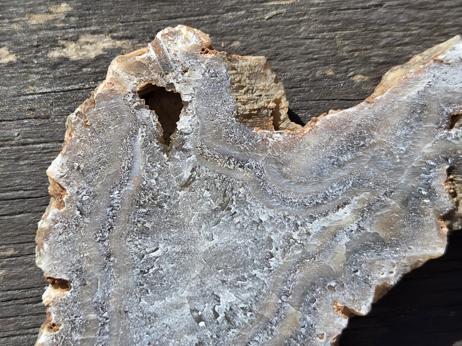 Turkish Agate Slabs Slices From One Stone Matching Lapidary Unique